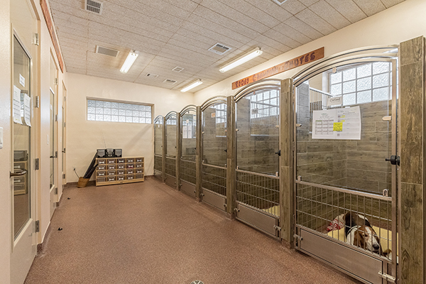 Boarding Grooming Arlington Veterinary Center